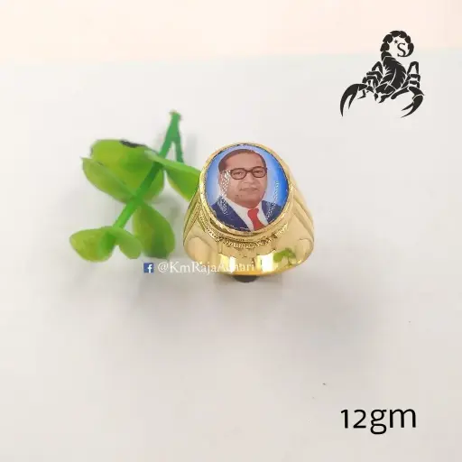 Dr. Ambedkar Ring