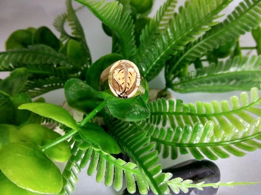 Ring